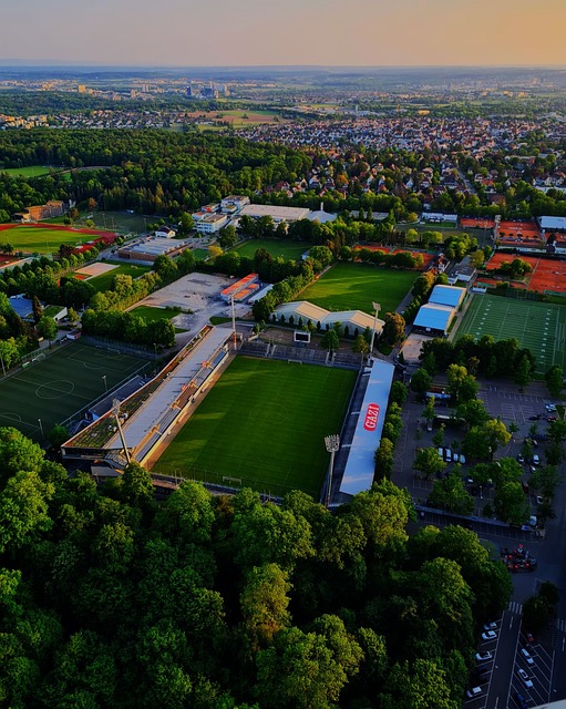 主优化词：米德尔斯堡主场坚若磐石，豪取四连胜